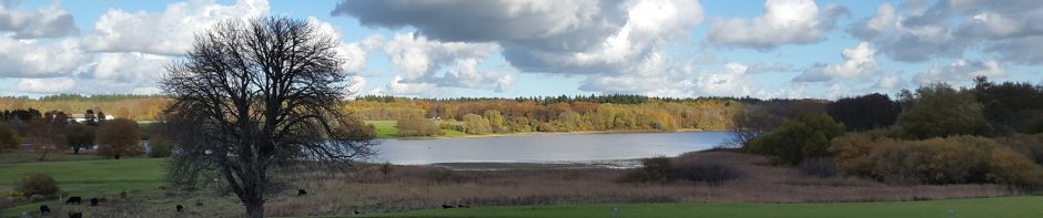 Mellerup